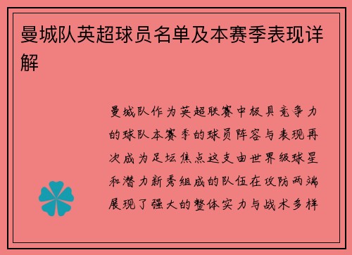 曼城队英超球员名单及本赛季表现详解