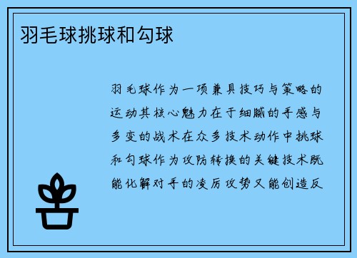 羽毛球挑球和勾球