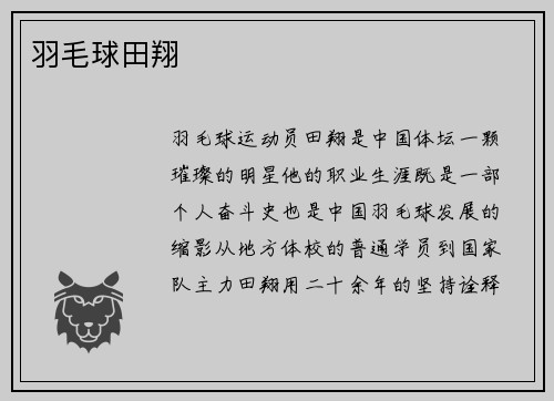 羽毛球田翔